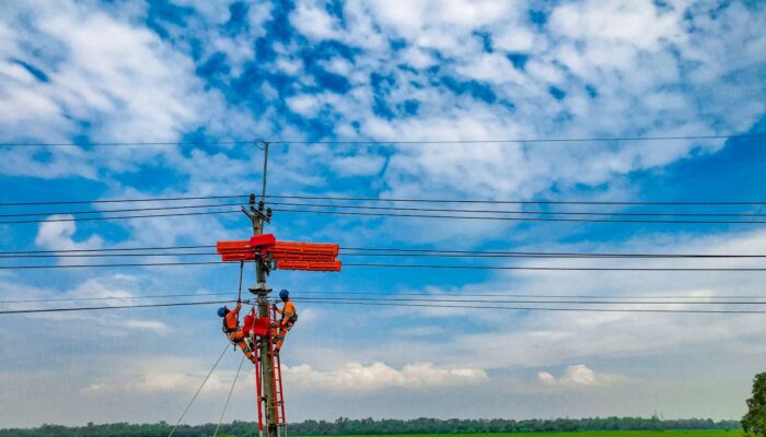 Transformasi Sukses PLN Catat Lonjakan Pendapatan Rp487,38 triliun