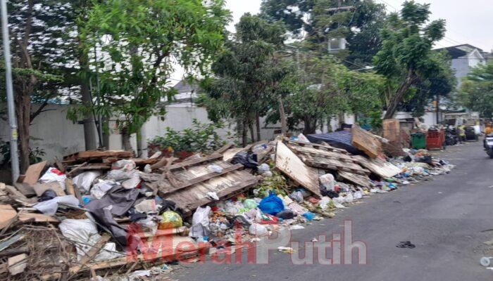 berserakan-tumpukan-sampah-di-krembangan 