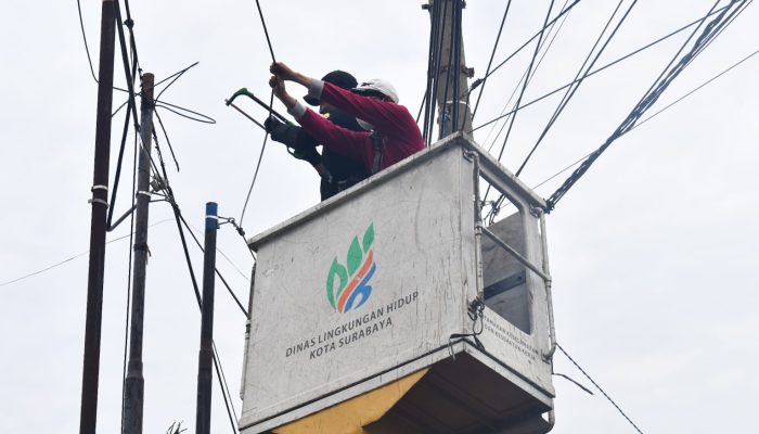 18-tiang-kabel-fiber-optik-ilegal-panjang-jiwo