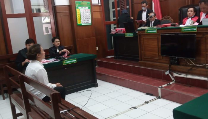 dina-marisa-diduga-kuasai-dana-impor-fiktif