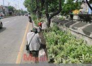 Pasca Temukan Granat Peninggalan Kolonial di Sungai, DLH Surabaya Evaluasi Pengambilan Tanah untuk Taman