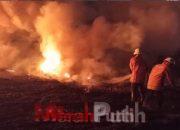Saat Kemarau Rentan Terjadi Kebakaran, Warga Diimbau Tak Bakar Sampah dan Alang-alang Sembarangan