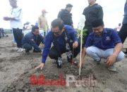 Galakkan Kenduri Bahari, NasDem Jatim Tanam Ribuan Pohon Mangrove di Banyuwangi
