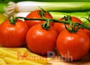 Manfaat Tomat Ceri untuk Kesehatan dan Cara Tepat Mengonsumsinya