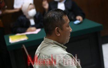 Kirim Batu Hitam Pakai Dokumen Palsu, Famli Dibui Tiga Bulan Penjara