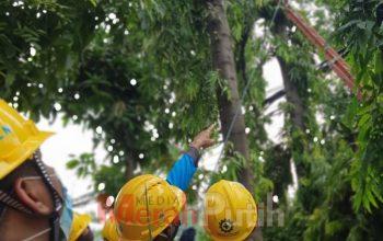 PLN Giatkan Personil Jaga Keandalan Listrik Selama Ramadhan