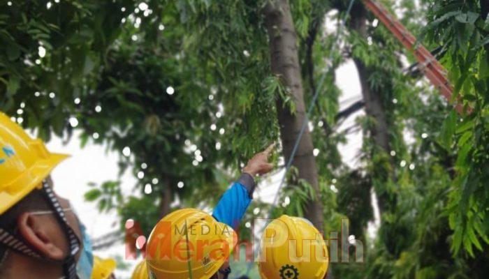 PLN Giatkan Personil Jaga Keandalan Listrik Selama Ramadhan