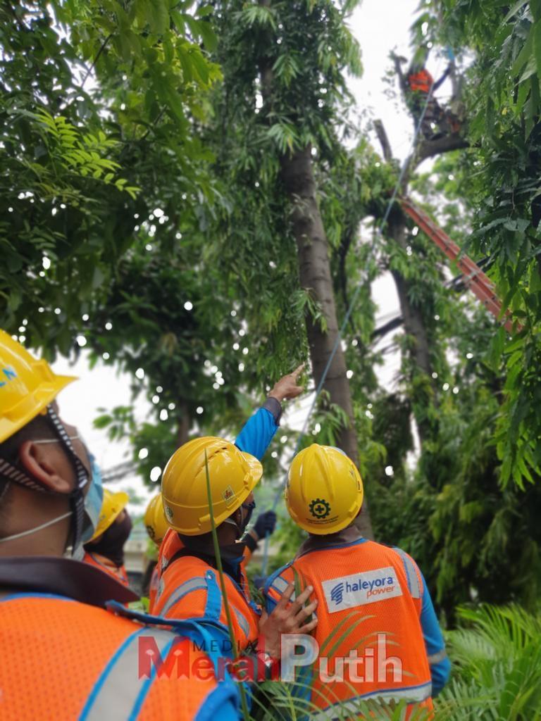 PLN meningkatkan kualitas keandalan pasokan listrik jelang Ramadhan 1444 H, PLN menggiatkan pemeliharaan dan gelar pasukan serta peralatan secara serentak di 16 wilayah Unit Pelaksana Pelayanan Pelanggan (UP3) di Jawa Timur.