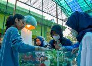 Mini Agrowisata Surabaya Jadi Destinasi Edukasi Favorit Anak-Anak, Sehari Bisa Tembus 500 Pengunjung