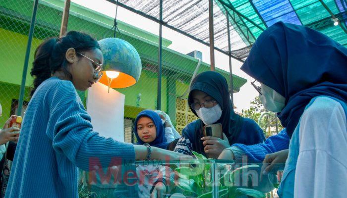 Mini Agrowisata Surabaya Jadi Destinasi Edukasi Favorit Anak-Anak, Sehari Bisa Tembus 500 Pengunjung