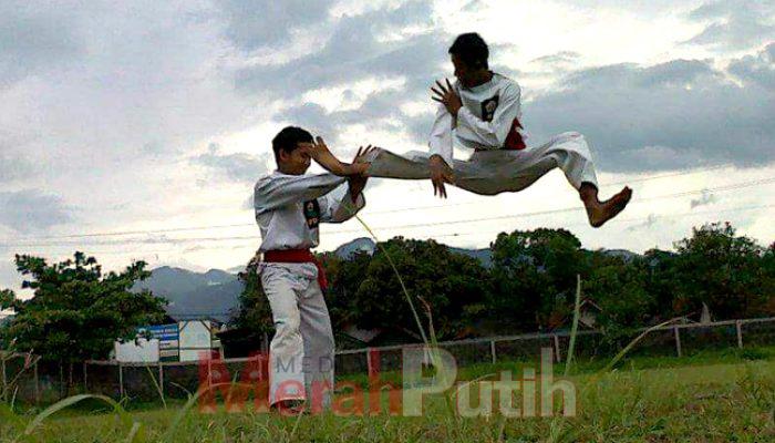 Inilah Makna Lambang Silat Perisai Diri