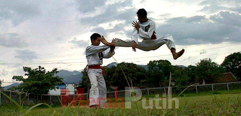 makna-lambang-silat-perisai-diri