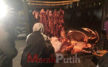 Perketat Peredaran Daging Gelonggongan Jika Ditemukan Bisa Dipidana 2 Tahun Penjara