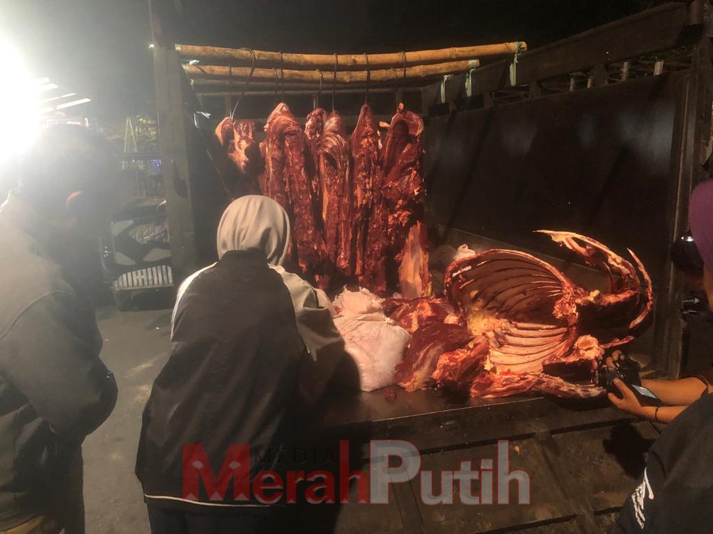 perketat-peredaran-daging-gelonggongan