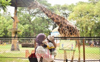 Hari Kedua Lebaran, 15 Ribu Wisatawan Kunjungi Kebun Binatang Surabaya