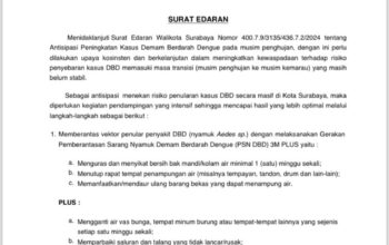 Antisipasi Resiko Penularan DBD