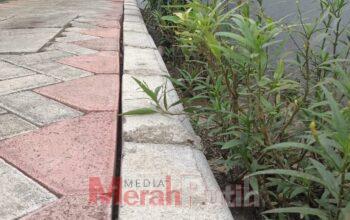 Penunjukan Langsung Proyek Paving Jalan Gersikan Tanpa Tender Menggugah Tanya