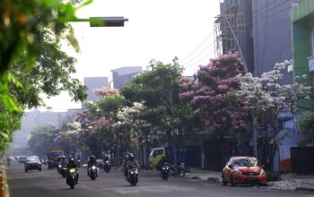 menghadapi-hutan-beton-menanam-di-perkotaan
