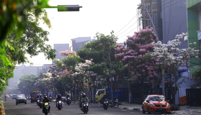 Menghadapi Hutan Beton Dengan Budaya Menanam Diantara Perkotaan