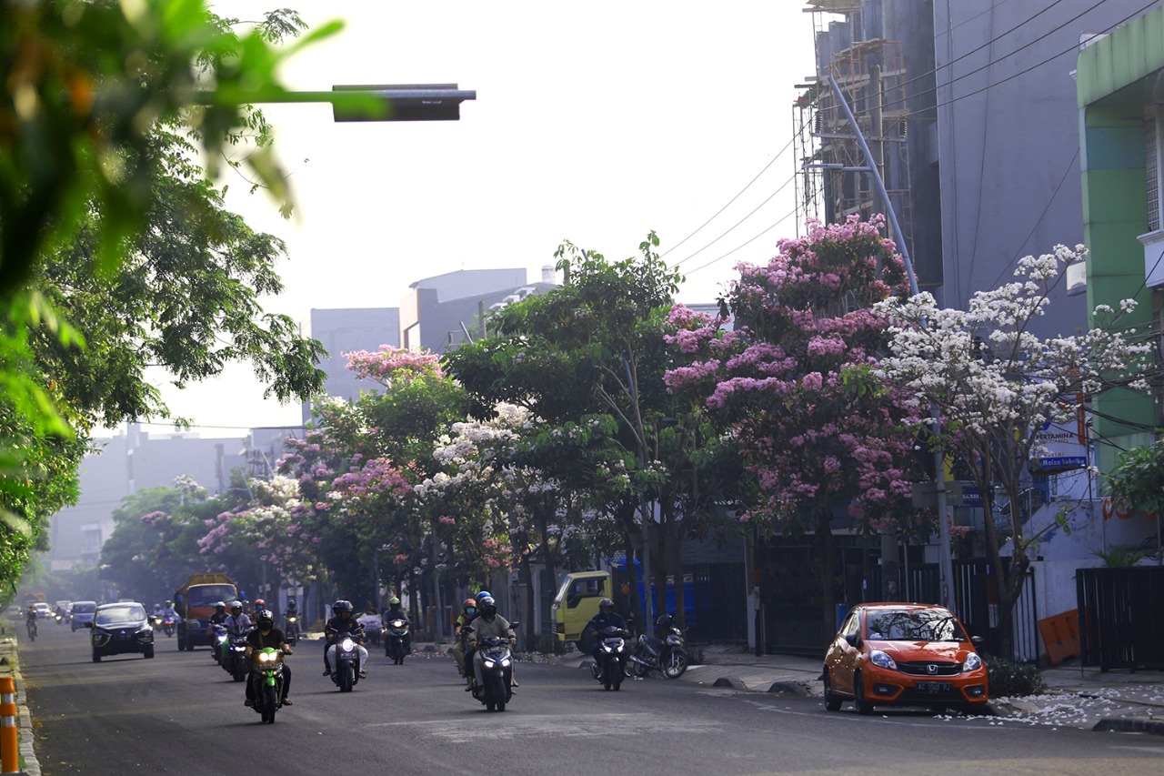 menghadapi-hutan-beton-menanam-di-perkotaan