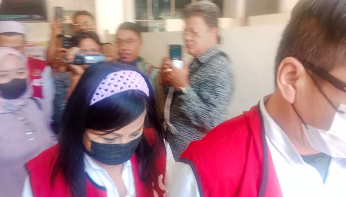 Handy dan Tjan Hwan Diana Jalani Sidang Kasus Perusakan 2 Mobil