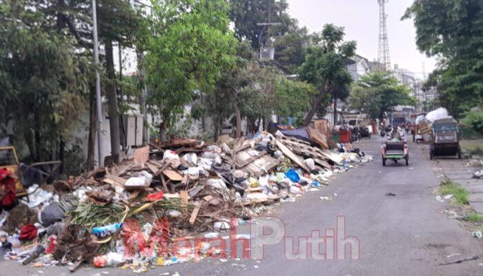 Berserakan Tumpukan Sampah di TPS Krembangan Surabaya