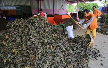 Wali Kota Eri Targetkan Volume Sampah ke TPA Turun Drastis