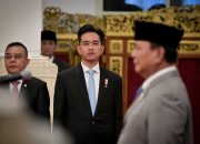 Gibran dan Ujian Nalar Konstitusional DPR